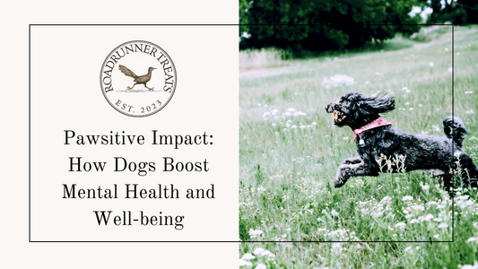 Pawsitive Impact: How Dogs Boost Mental Health and Well-Being