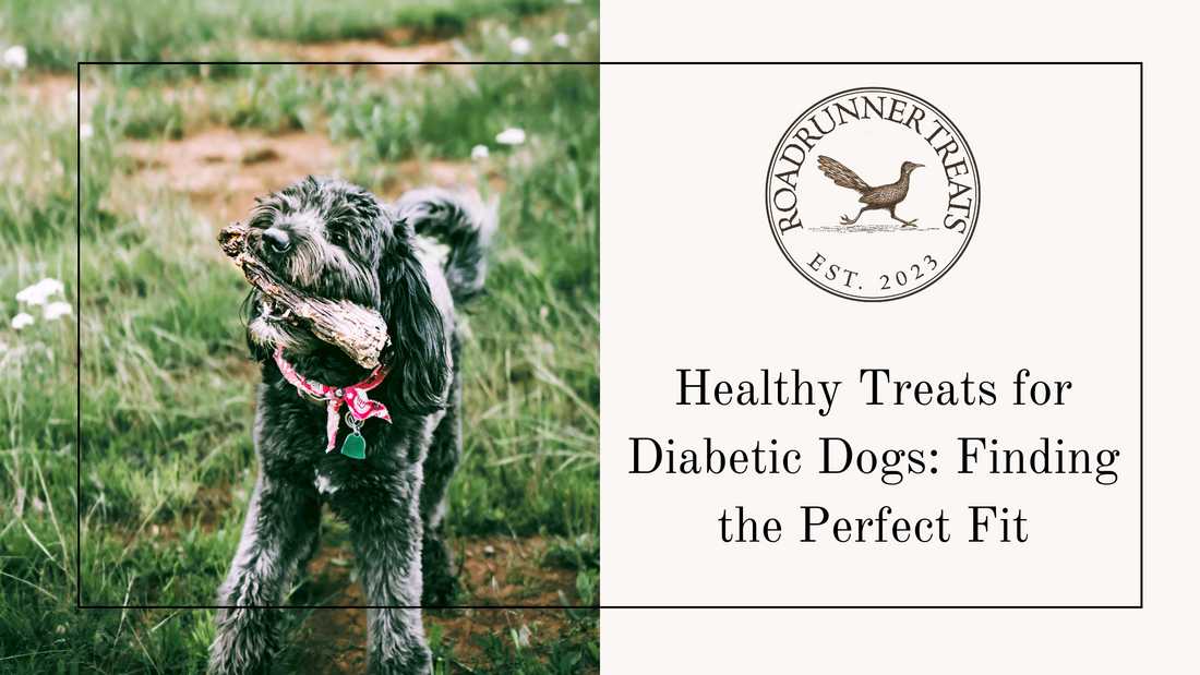 Healthy Treats for Diabetic Dogs: Finding the Perfect Fit