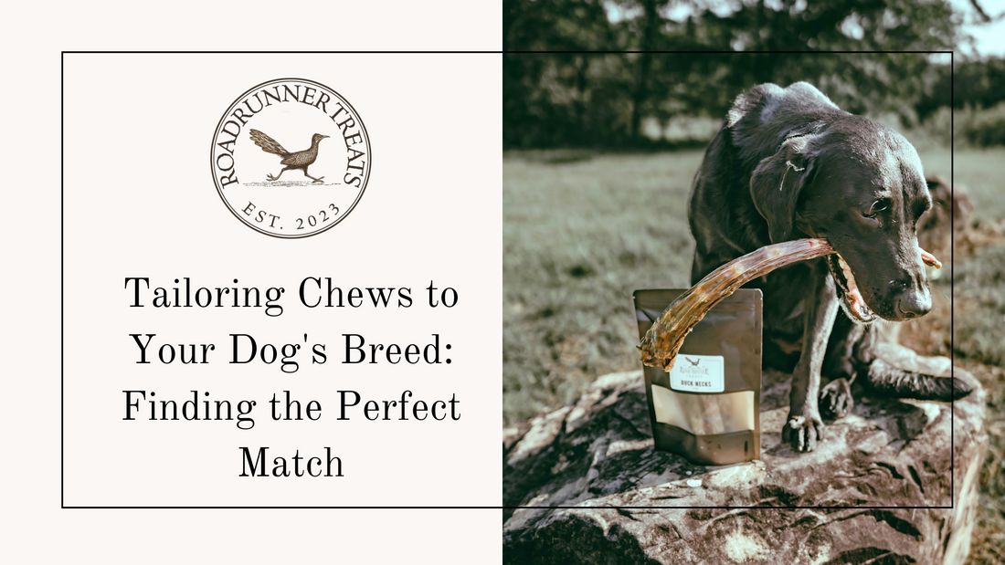 Tailoring Chews to Your Dog's Breed: Finding the Perfect Match