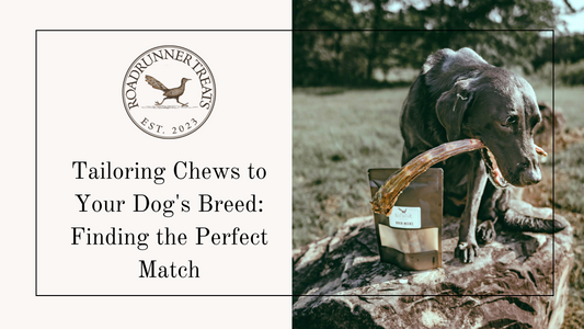 Tailoring Chews to Your Dog's Breed: Finding the Perfect Match
